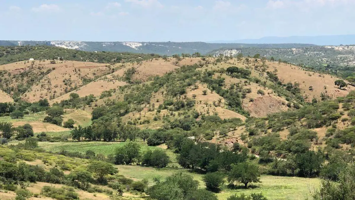 EJIDO CUAYUCA